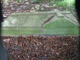 image of grave number 336147